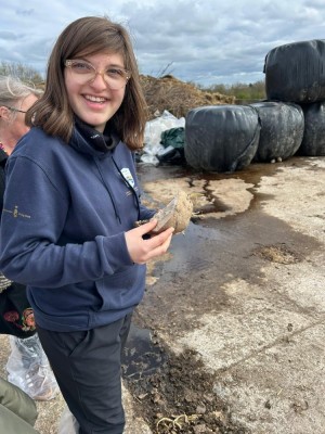 belgique-erasmus-2__