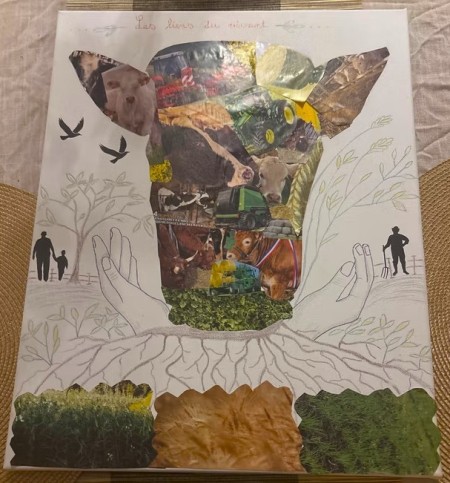 Voir le projet