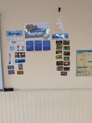 intervention-biodiversite-la-salle-abbaye-montebou__