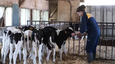 la-ferme-college-lycee-lasalle-montebourg__