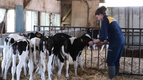 Une exploitation agricole support p&eacute;dagogique 🐄