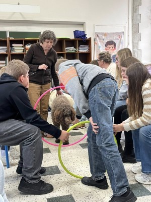 mediation-animale-la-salle-montebourg-3__