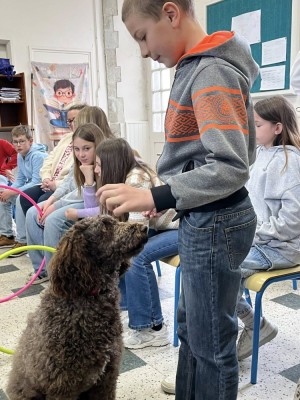 mediation-animale-la-salle-montebourg-4__