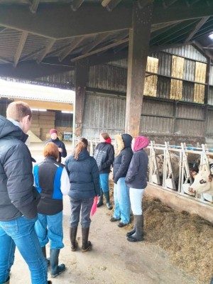 visite-gaec-adam-la-salle-abbaye-montebourg-3__