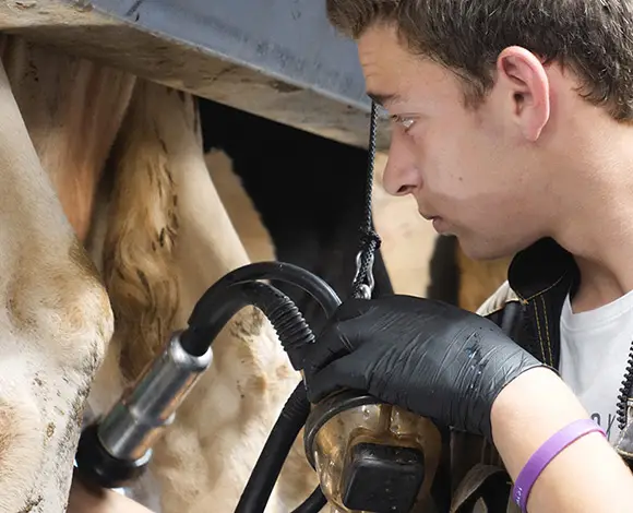 L'apprentissage - Agricole