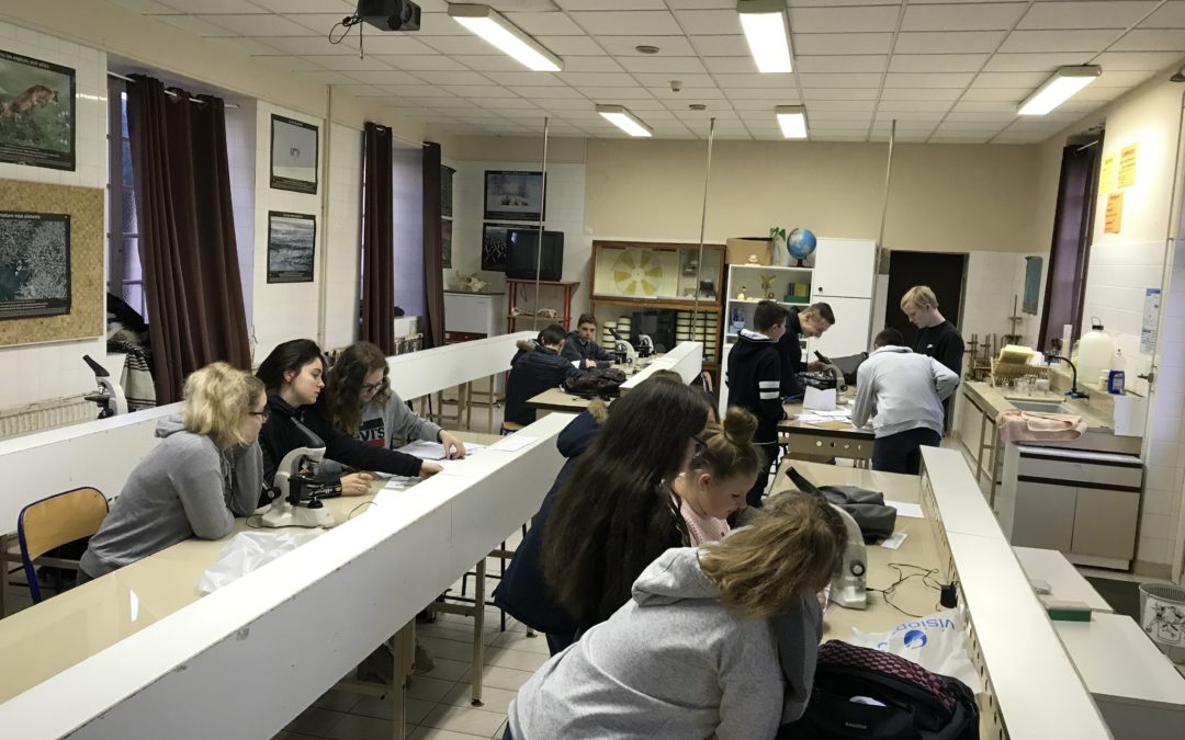 « Escape Game » au collège