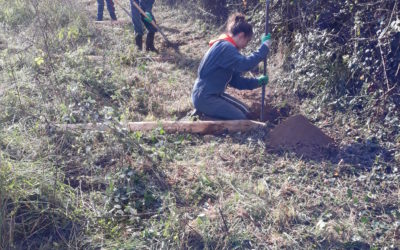 Formation au développement durable